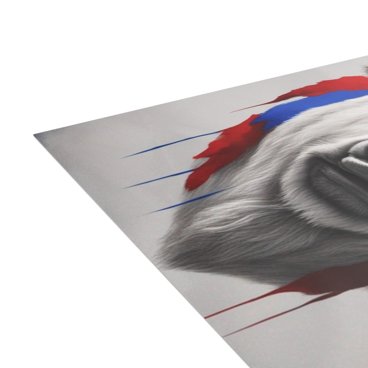 Postcard Bundles (envelopes included)